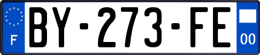 BY-273-FE
