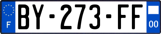 BY-273-FF