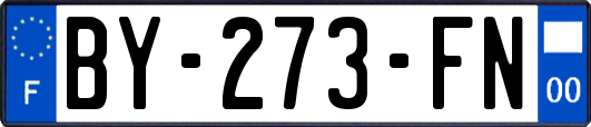BY-273-FN