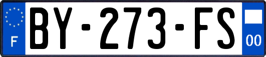 BY-273-FS