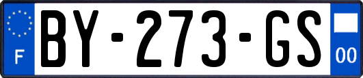 BY-273-GS