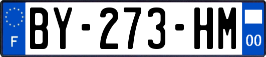 BY-273-HM