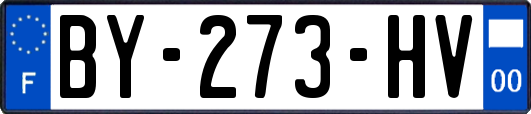 BY-273-HV