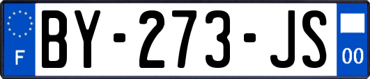 BY-273-JS
