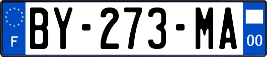 BY-273-MA