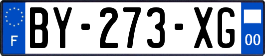 BY-273-XG
