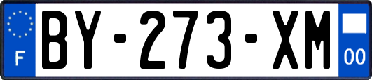 BY-273-XM