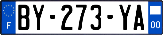 BY-273-YA