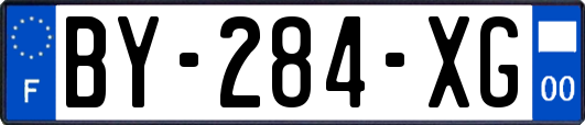 BY-284-XG