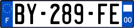 BY-289-FE