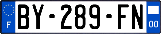 BY-289-FN