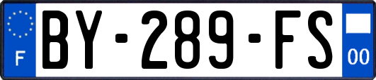 BY-289-FS