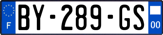 BY-289-GS