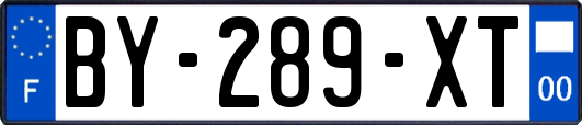 BY-289-XT