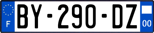 BY-290-DZ