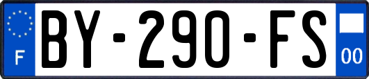 BY-290-FS