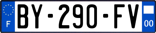 BY-290-FV