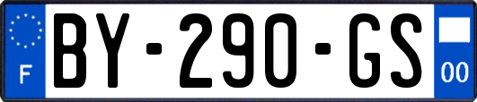 BY-290-GS