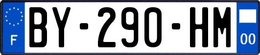 BY-290-HM
