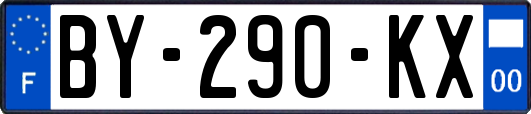 BY-290-KX