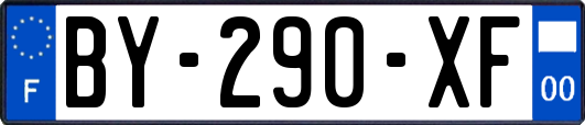 BY-290-XF