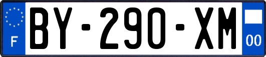 BY-290-XM