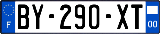 BY-290-XT