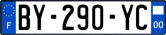 BY-290-YC