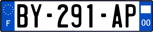 BY-291-AP