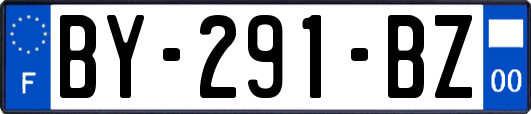 BY-291-BZ