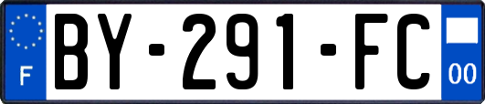 BY-291-FC