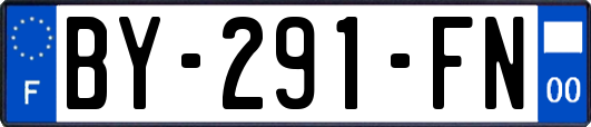 BY-291-FN