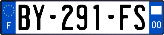 BY-291-FS