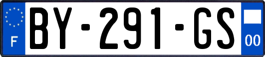 BY-291-GS