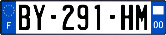 BY-291-HM