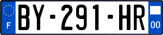 BY-291-HR