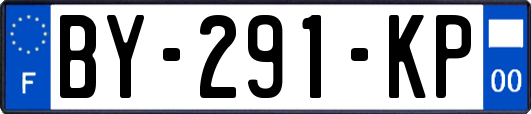 BY-291-KP