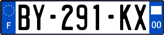 BY-291-KX