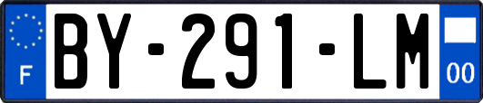 BY-291-LM