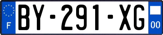 BY-291-XG