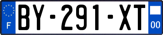 BY-291-XT