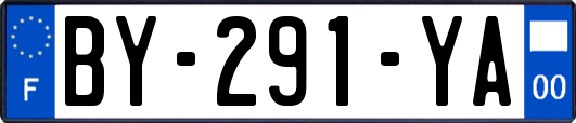 BY-291-YA