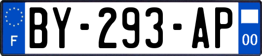 BY-293-AP