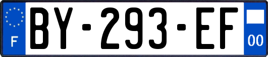 BY-293-EF