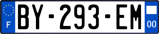 BY-293-EM