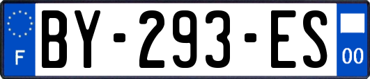 BY-293-ES