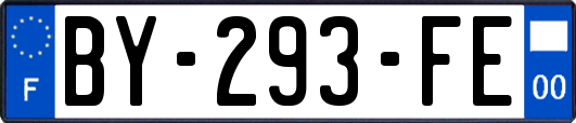 BY-293-FE