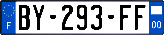 BY-293-FF