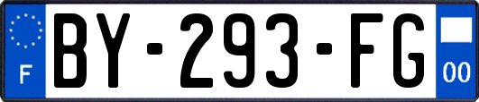 BY-293-FG
