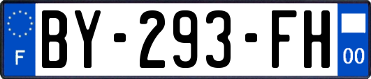 BY-293-FH